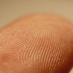 Original: https://commons.wikimedia.org/wiki/File:Fingerprint_detail_on_male_finger.jpg