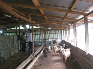 Agricultural research centre in Sierra Leone