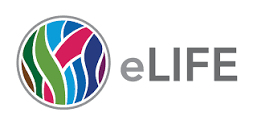 elife logo