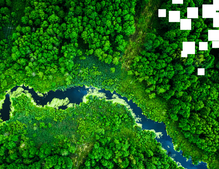 aerial view of river winding through forest