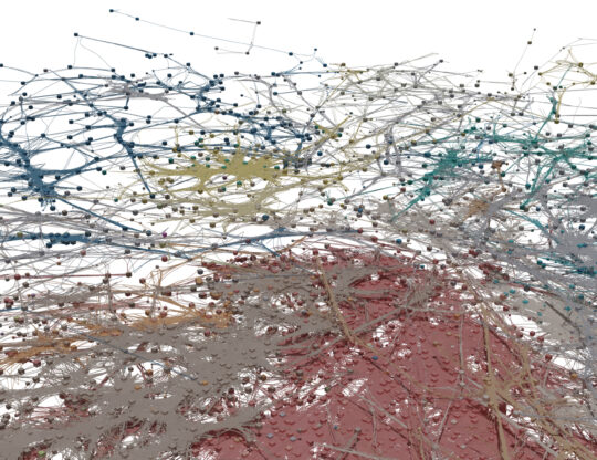 network animation