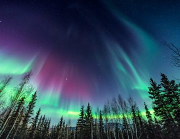 State of open data 2018 cover -Purple and green aurora / northern Lights over tree line