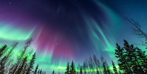 State of open data 2018 cover -Purple and green aurora / northern Lights over tree line