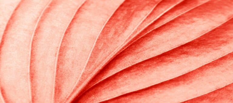 wave pattern