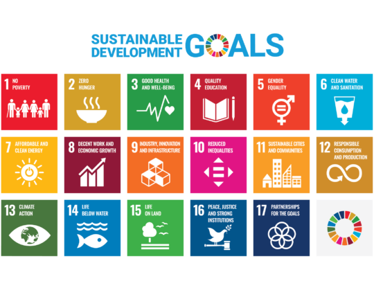 E SDG