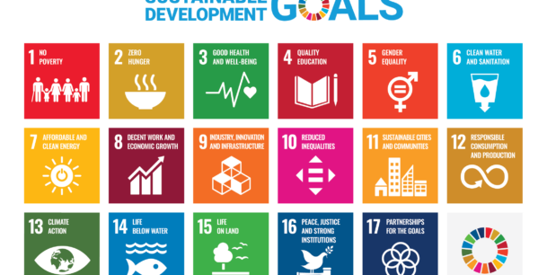 E SDG