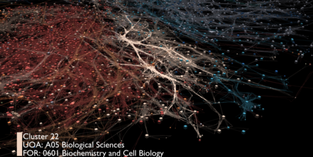 Biological Sciences Collaboration Cluster