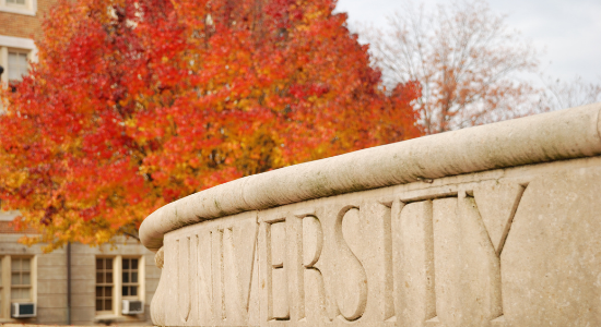 Campus university in autumn