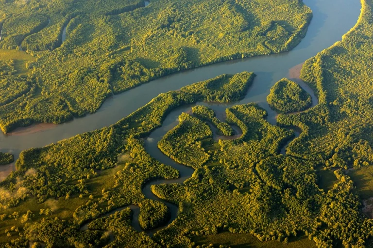 Okavango river