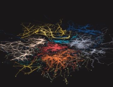 Render of research collaborations within ANU