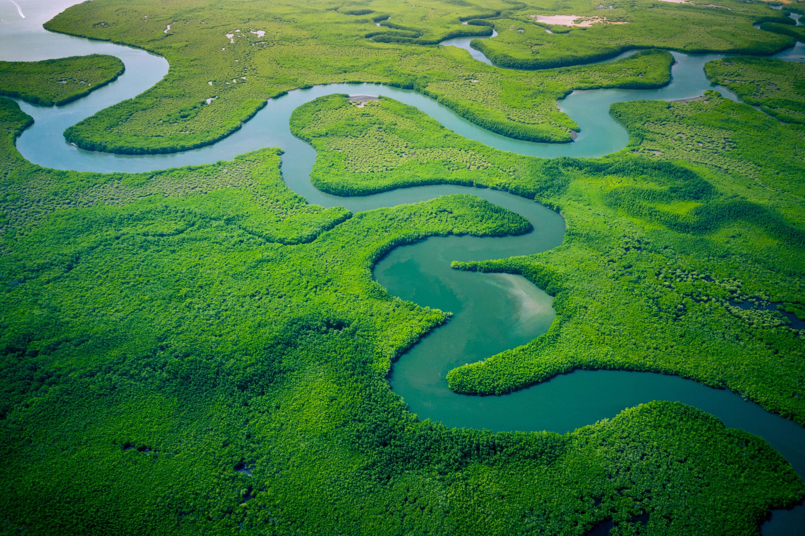 State of Open Data - green landscape, river - header