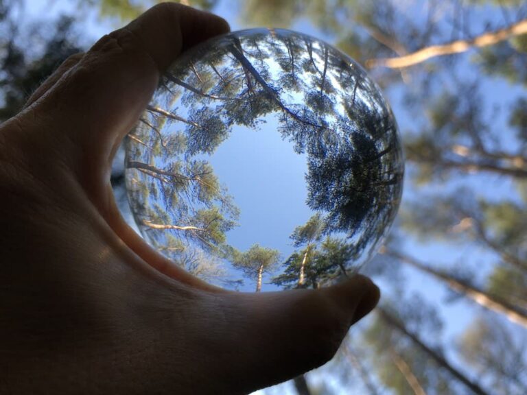 hand holding glass globe showing reflection of trees in forest