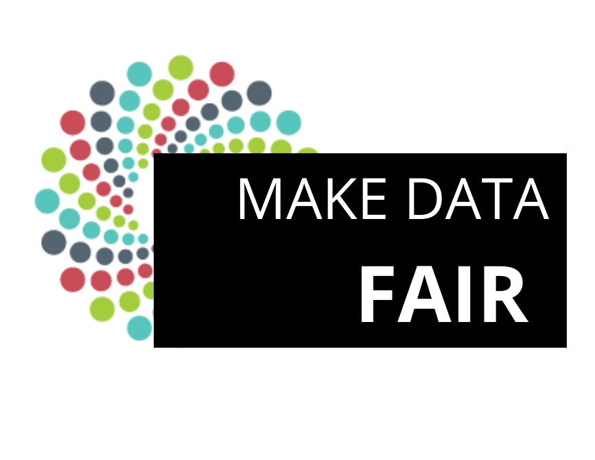 banner w text - Make Data Fair