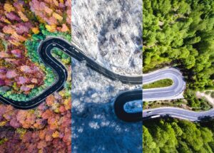2025 State of Open Data report cover image - road in different seasons