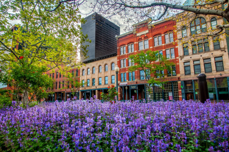 Market St, Denver, Colorado