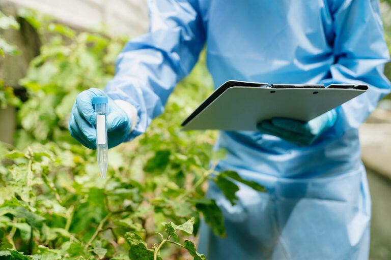 environmental researcher at work in the field
