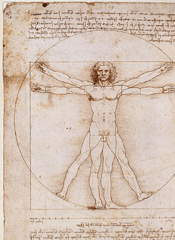 da Vinci's Vitruvian Man